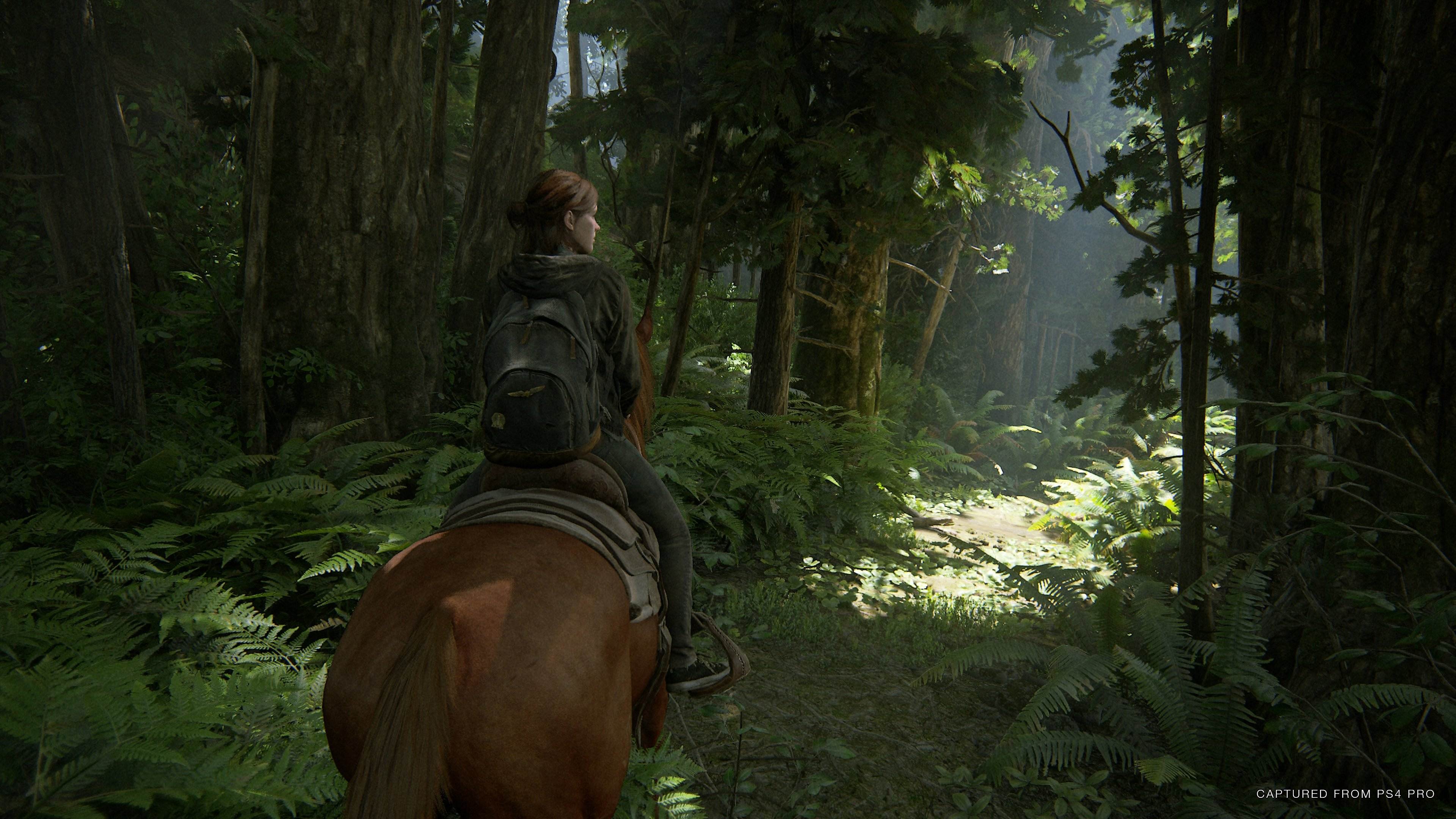 The Last of Us: Parte II - Imagen 20